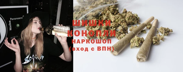 mix Богородицк